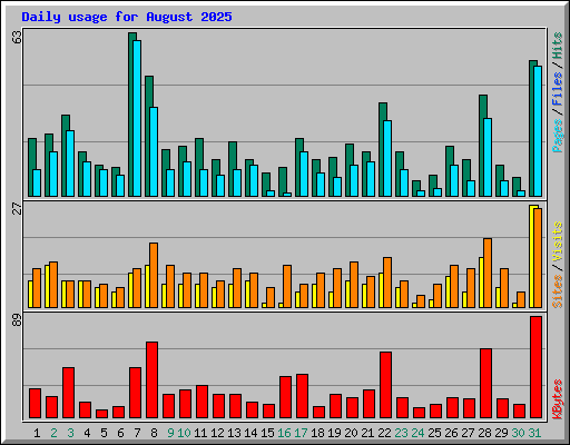 Daily usage for August 2025