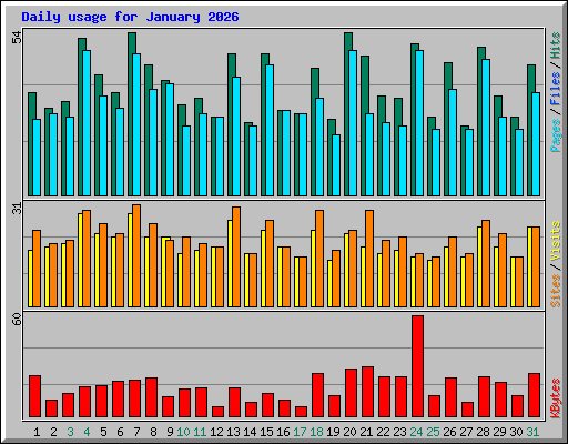 Daily usage for January 2026