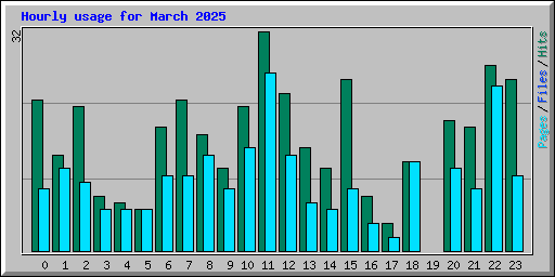 Hourly usage for March 2025