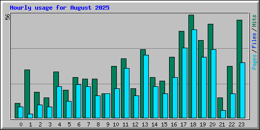 Hourly usage for August 2025