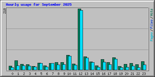Hourly usage for September 2025