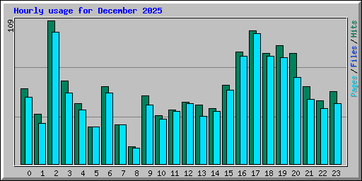 Hourly usage for December 2025