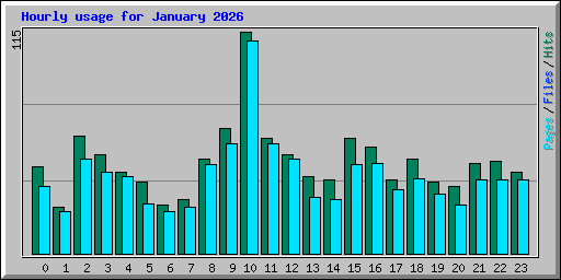 Hourly usage for January 2026